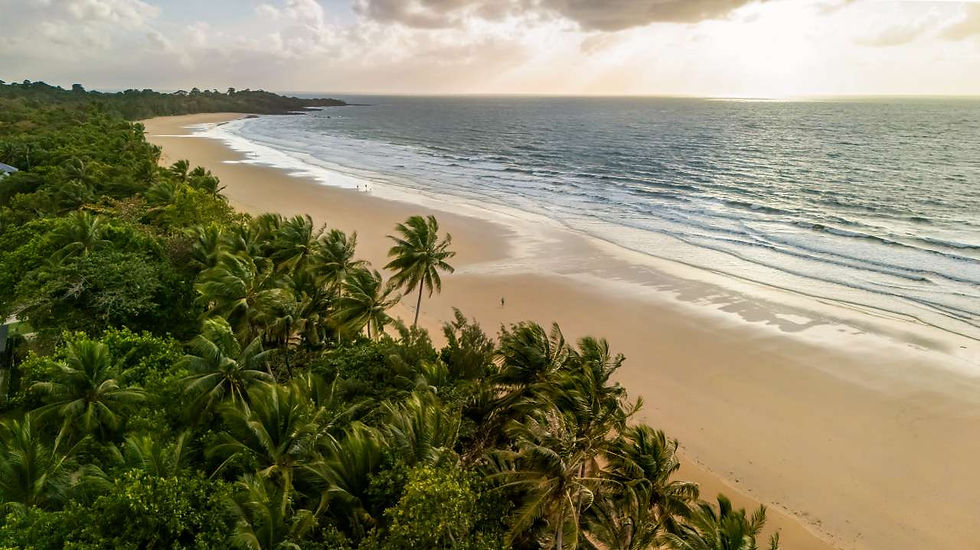 Aerial view of a tropical beach with palm trees, empty golden sand, and gentle waves under a cloudy sunset sky.