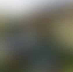 Tristan Peirce Landscape Architecture & your totally gorgeous pool, even on difficult terrain..