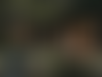 Nestled in the remote and historic Wollombi Valley, the wild side of the Hunter, Little Valley Summerhouse