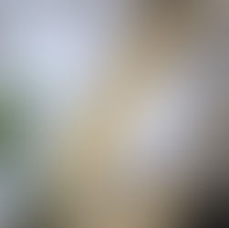 BCOMPACT – create space & acquire a piece of art at the same time.