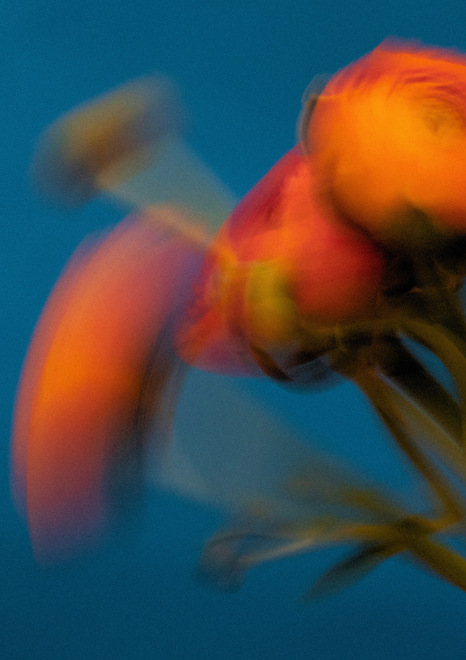 24 Hour Power Guided Journal.png