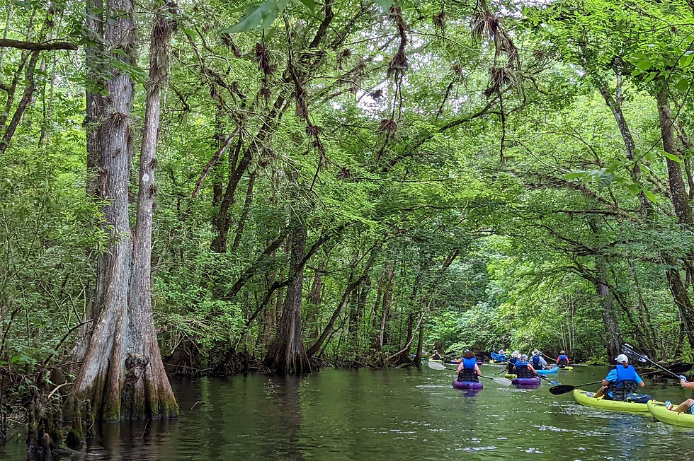 Cypress Spring Creek Group Paddle