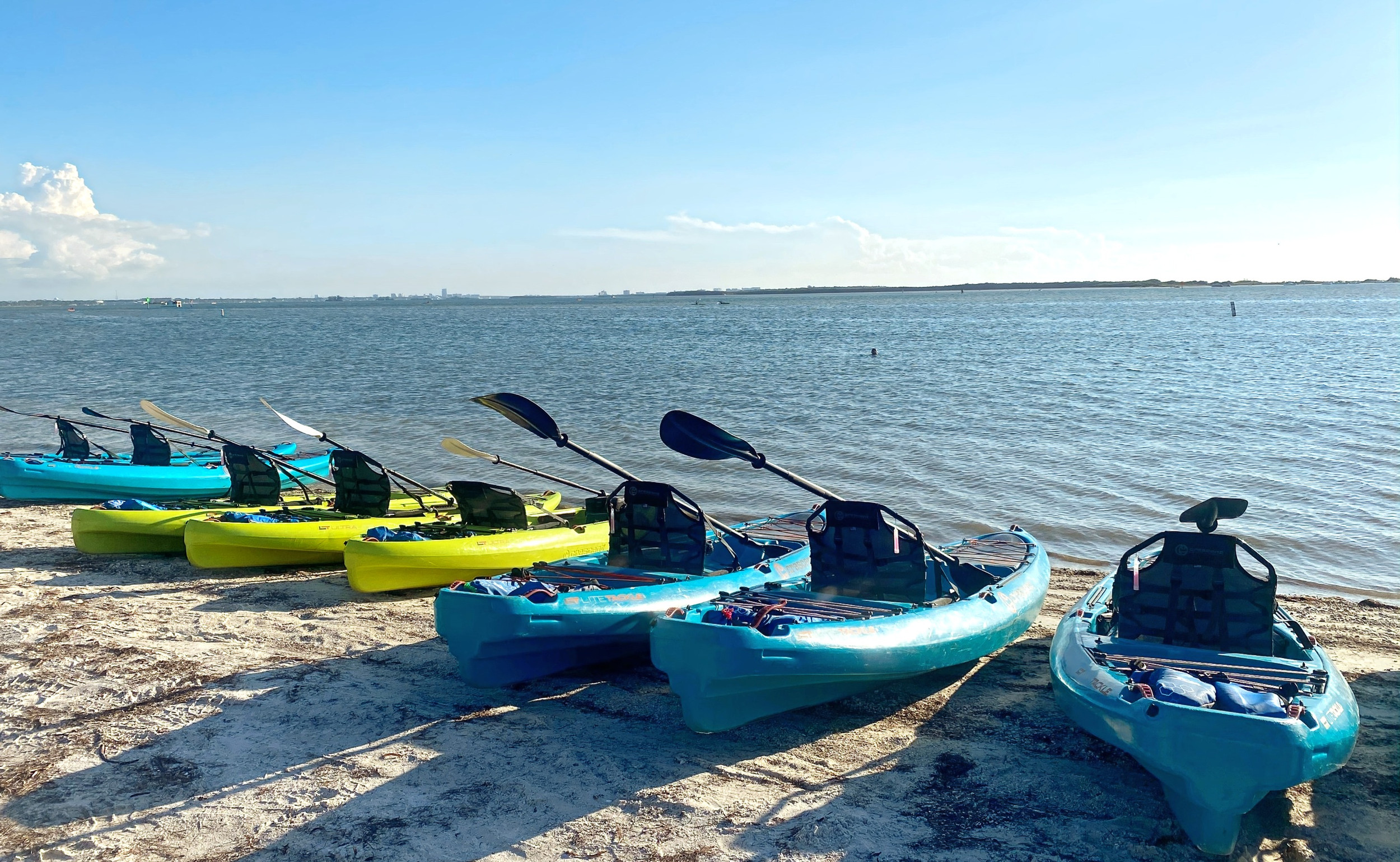 upcoming-kayak-wildlife-tours-nature-coast-event-calendar