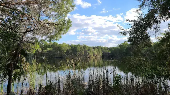 Dixie Shores Lake Crystal River