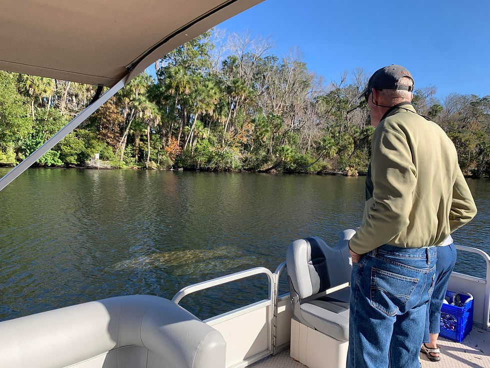 Manatee Observation Boat Ride