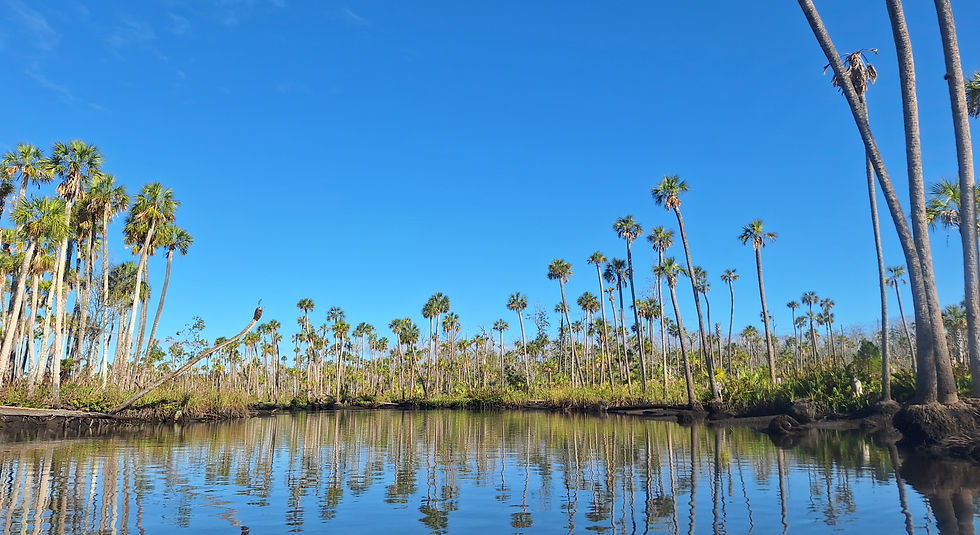 Chassahowitzka River Group Paddle