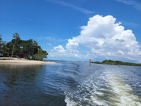Gulf Discovery Cruise