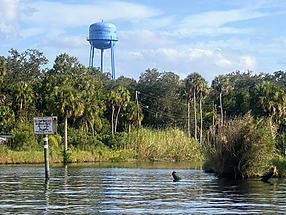 Historical Homosassa Springs Water Tower