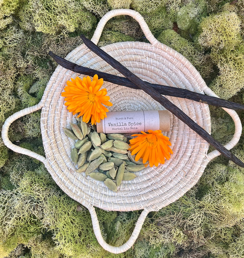 Thumbnail: Botanical Lip Balm