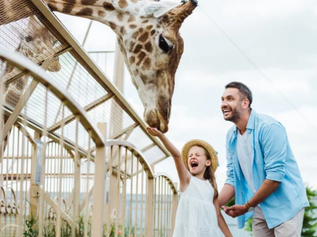 Une incroyable visite au Zoo