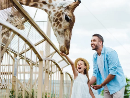 Une incroyable visite au Zoo