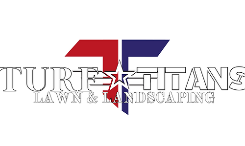 New TT logo Clear.png