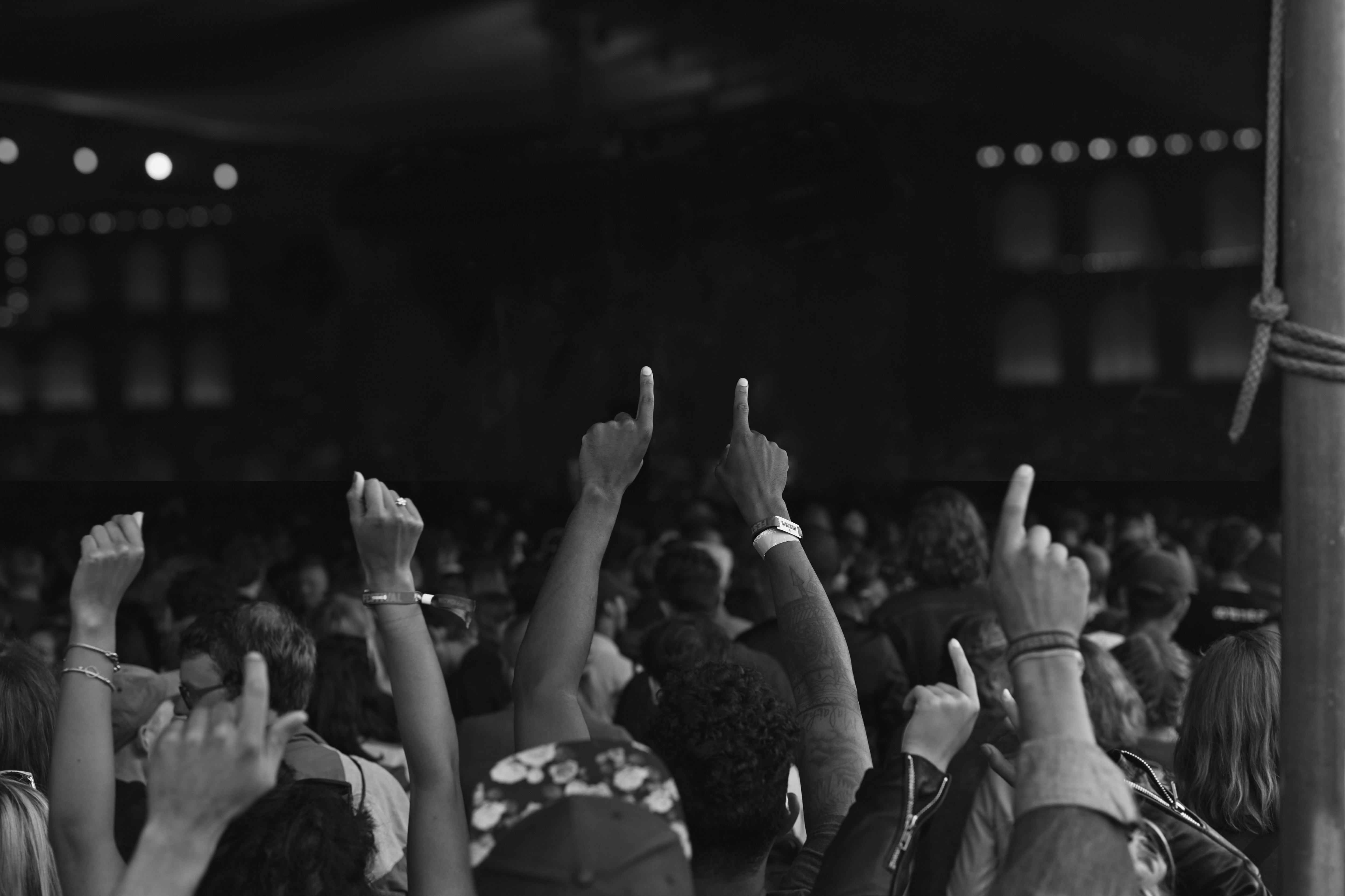 Concert Crowd