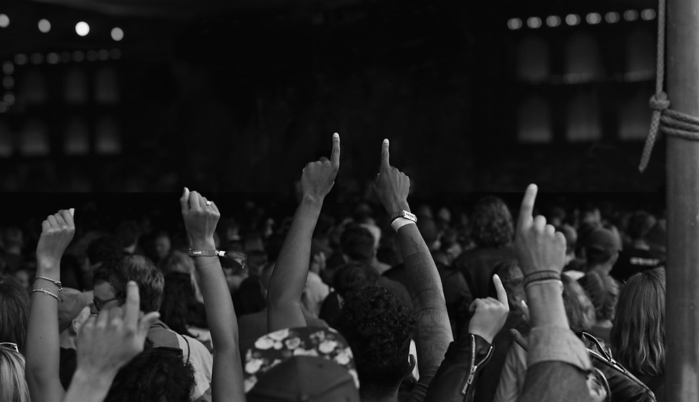 Concert Crowd