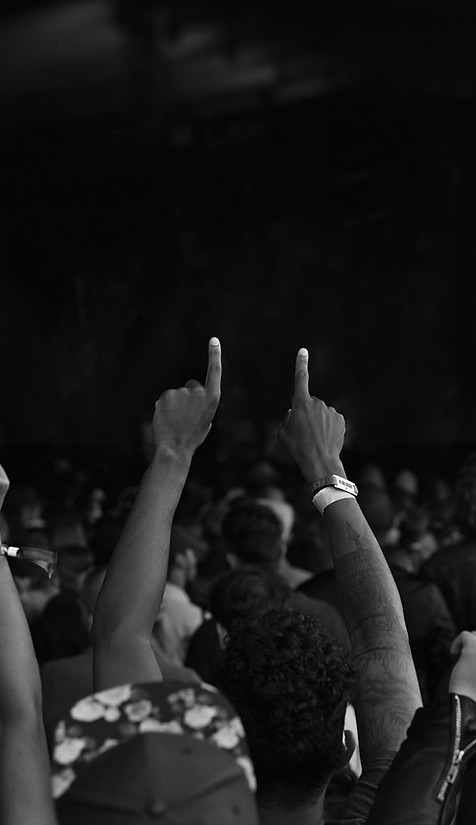 Concert Crowd