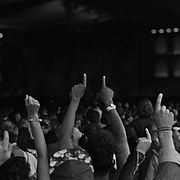 Concert Crowd