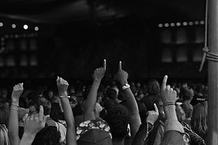 Raised Hands Crowd