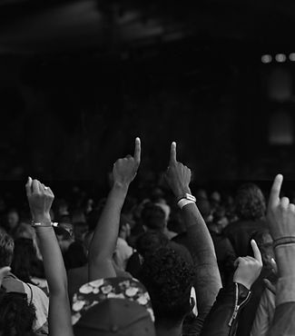 Concert Crowd