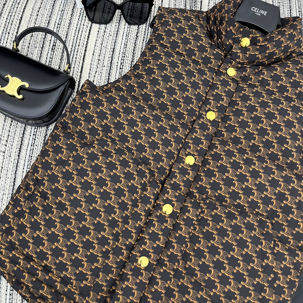 Thumbnail: CELINE WINTER VEST