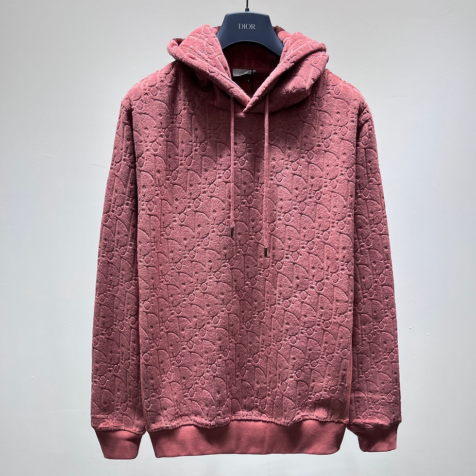 DIOR HOODIE