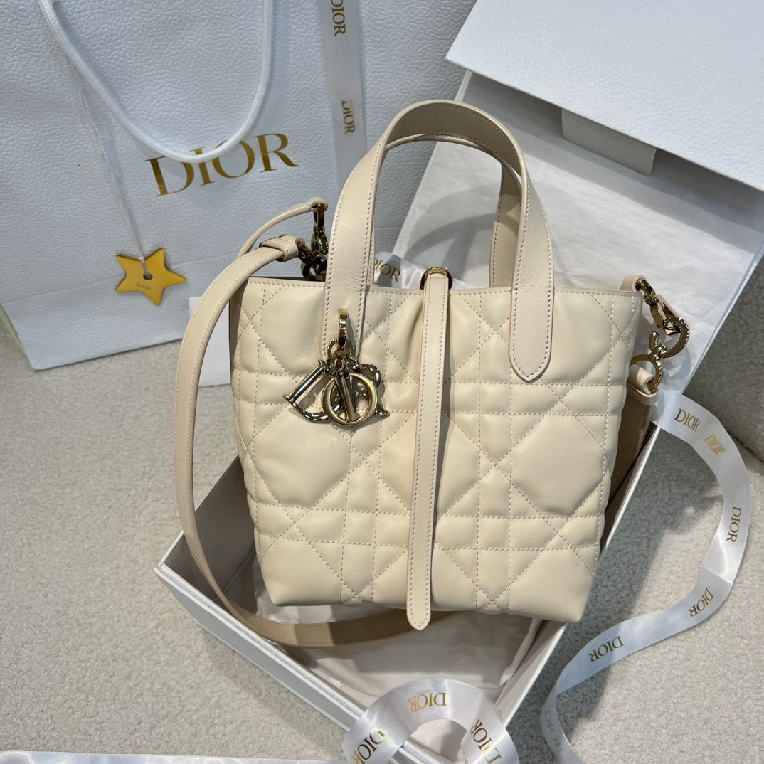 DIOR TOUJOURS MINI ULTIMATE BAG