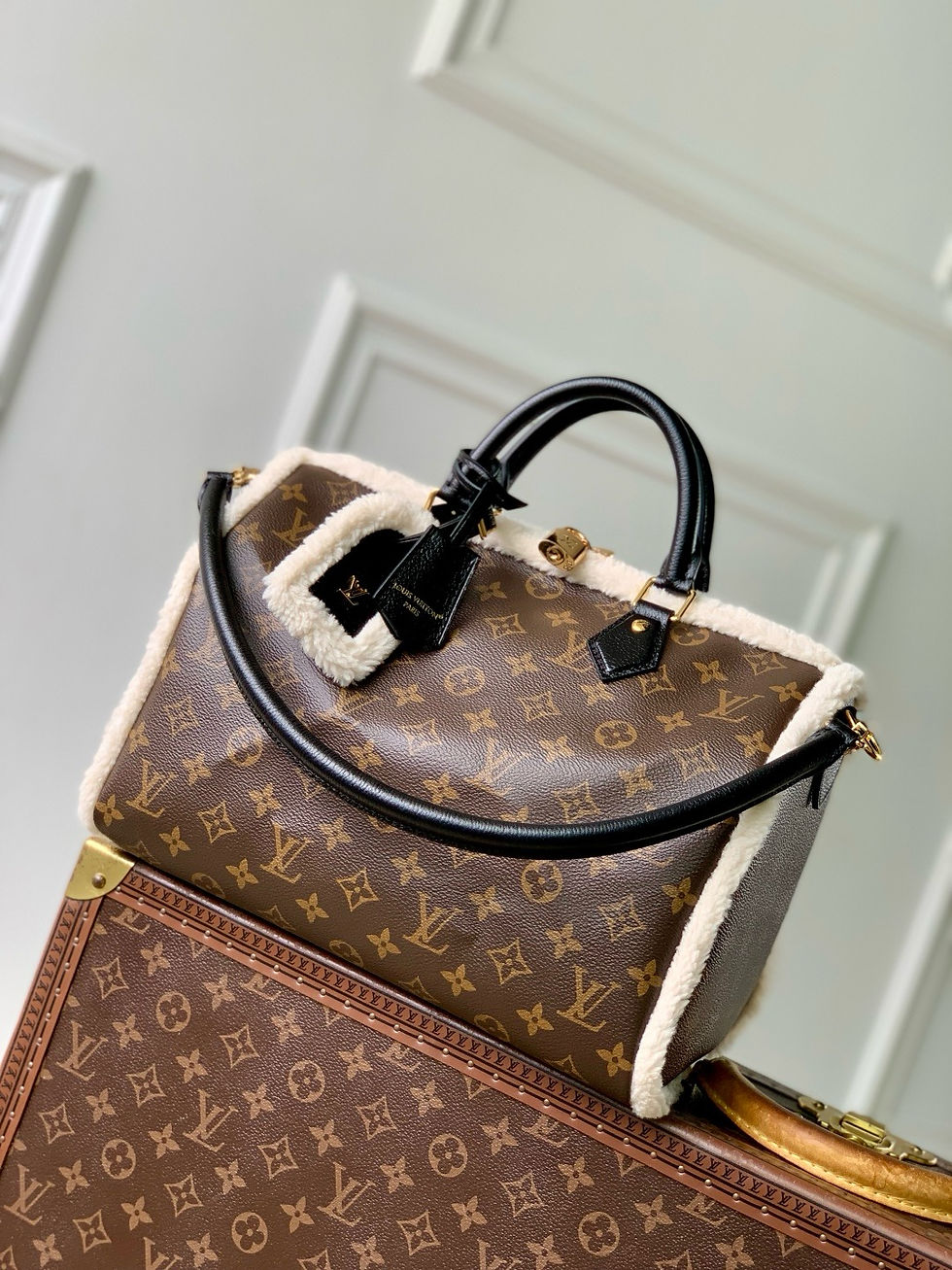 LV SPEEDY SOFT 30 TEDDY WITH SHEARLING BAG