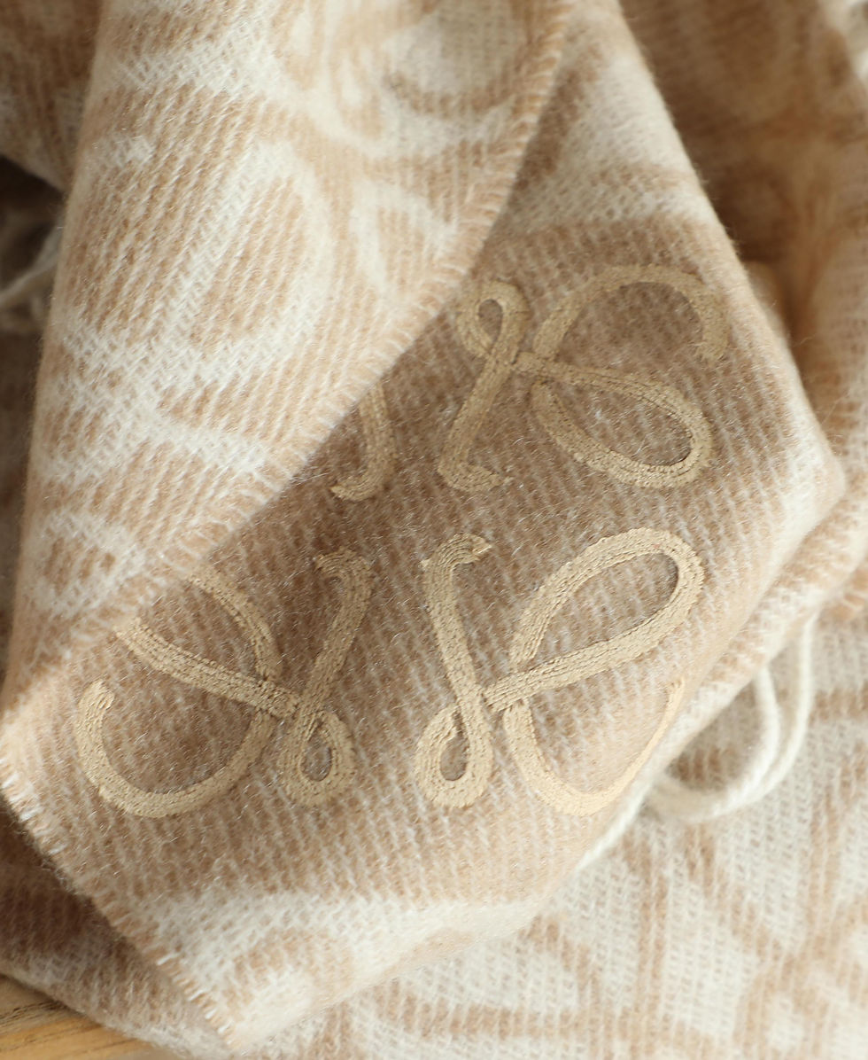 Thumbnail: LOEWE SCARF