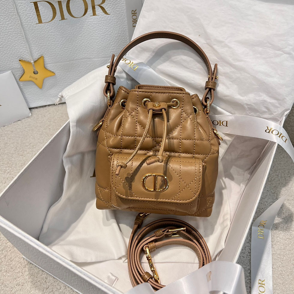 DIOR CARO NANO BUCKET ULTIMATE BAG