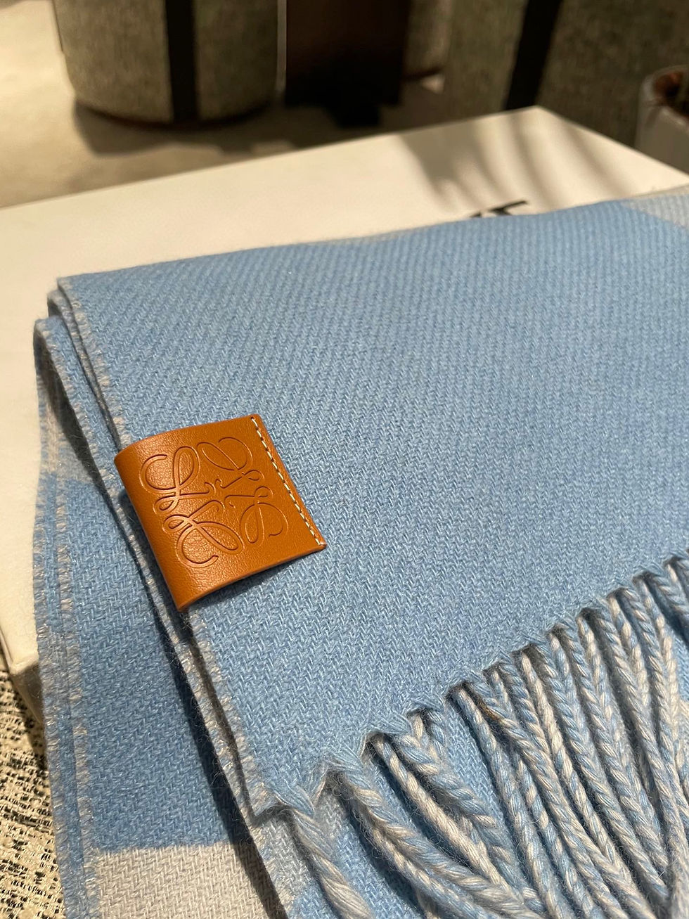 Thumbnail: LOEWE SCARF