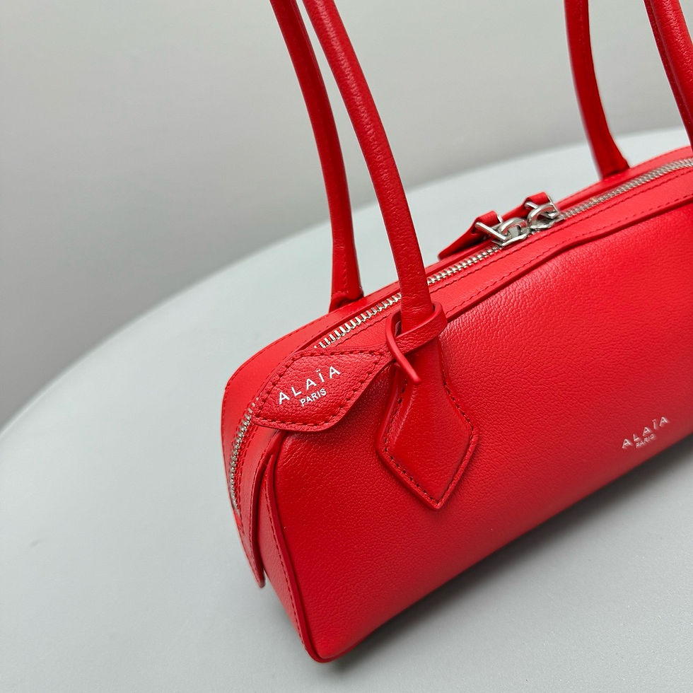 Thumbnail: ALAIA LE TECKEL MEDIUM BAG 