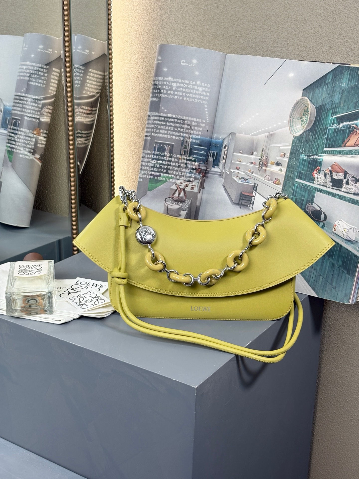 LOEWE OLA MEDIUM LEATHER SHOULDER BAG