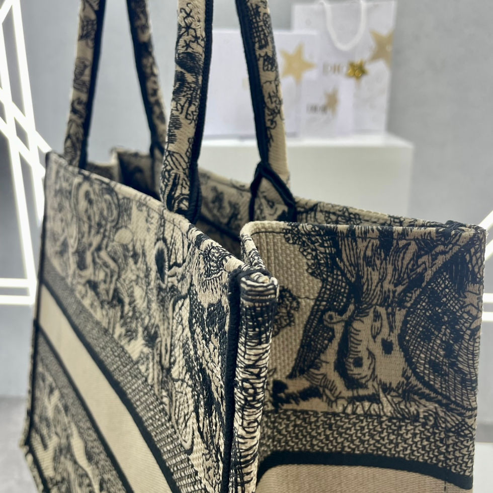 Thumbnail: DIOR BOOK TOTE LARGE BAG