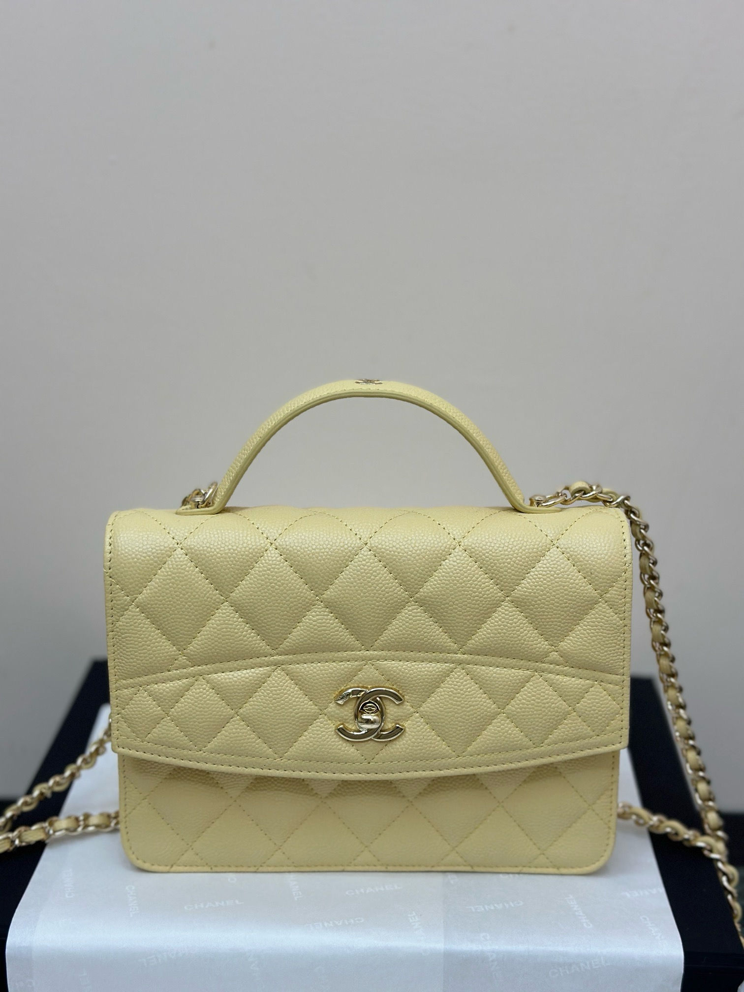 CHANEL 25C EARLY SPRING STYLE BACPACK