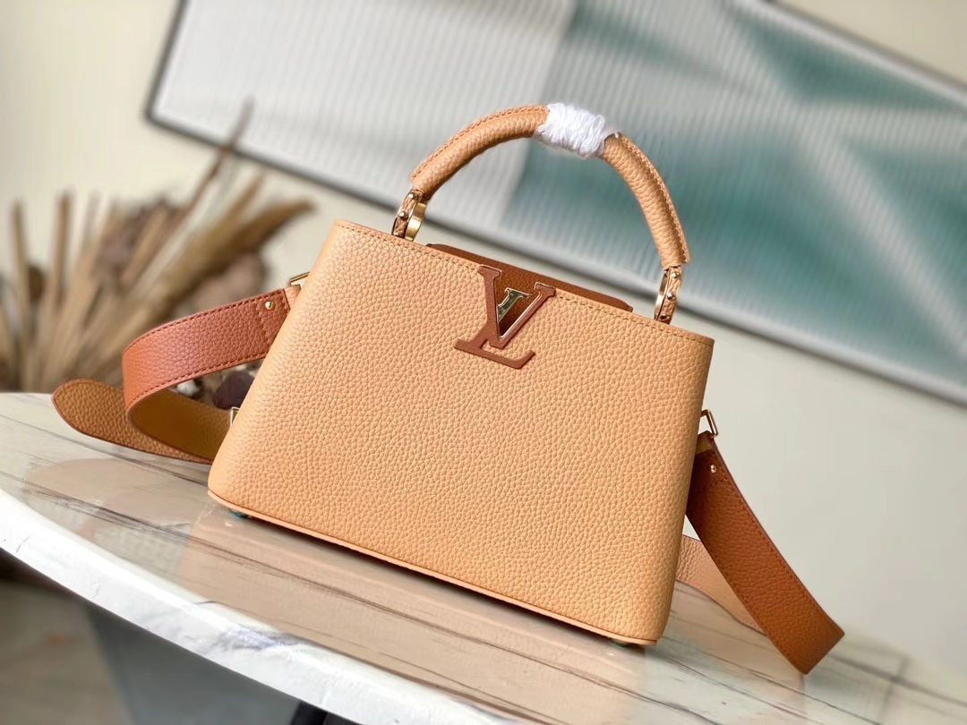 LV CAPUCINES BB HANDBAG