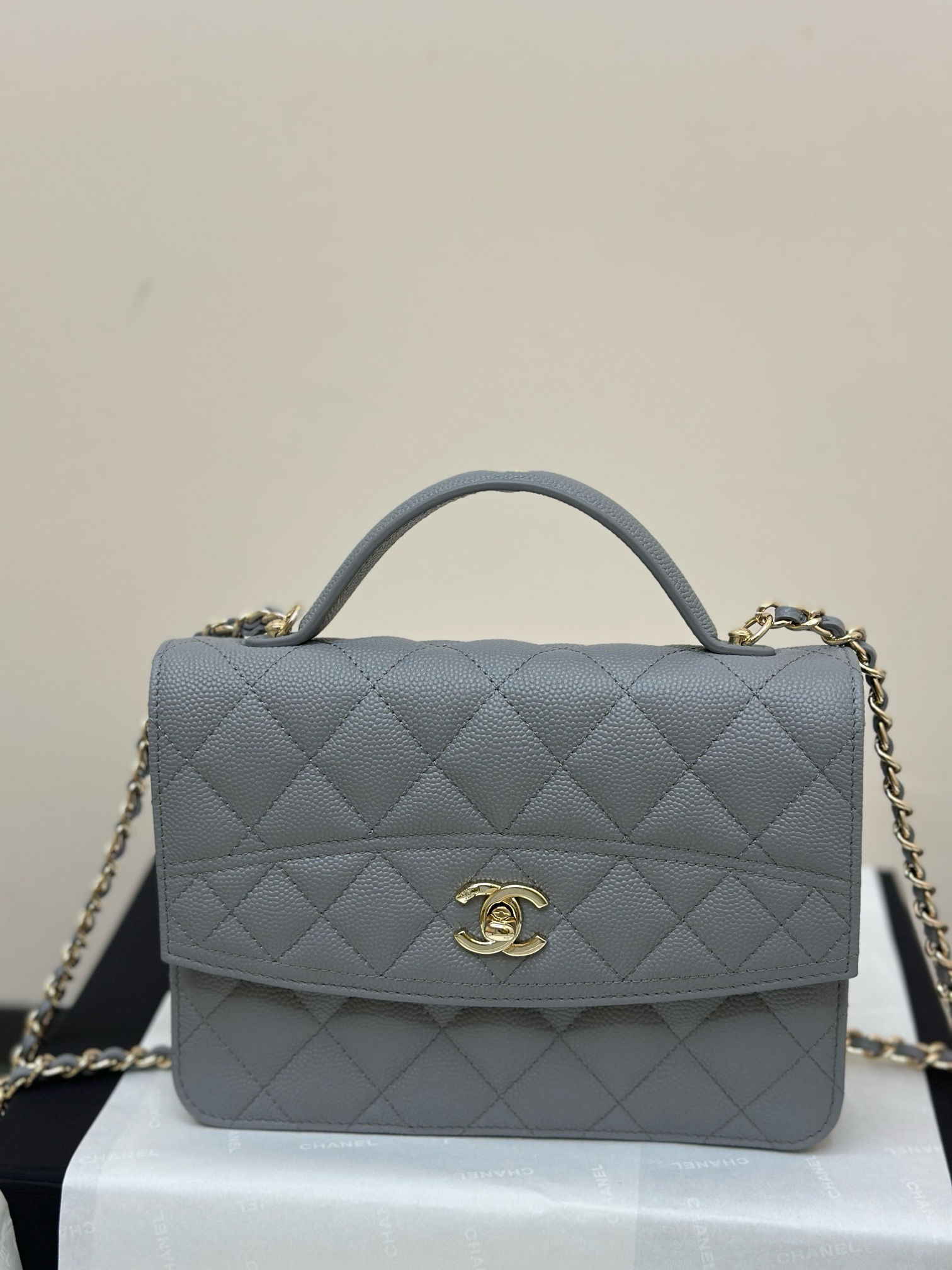 CHANEL 25C EARLY SPRING STYLE BACPACK