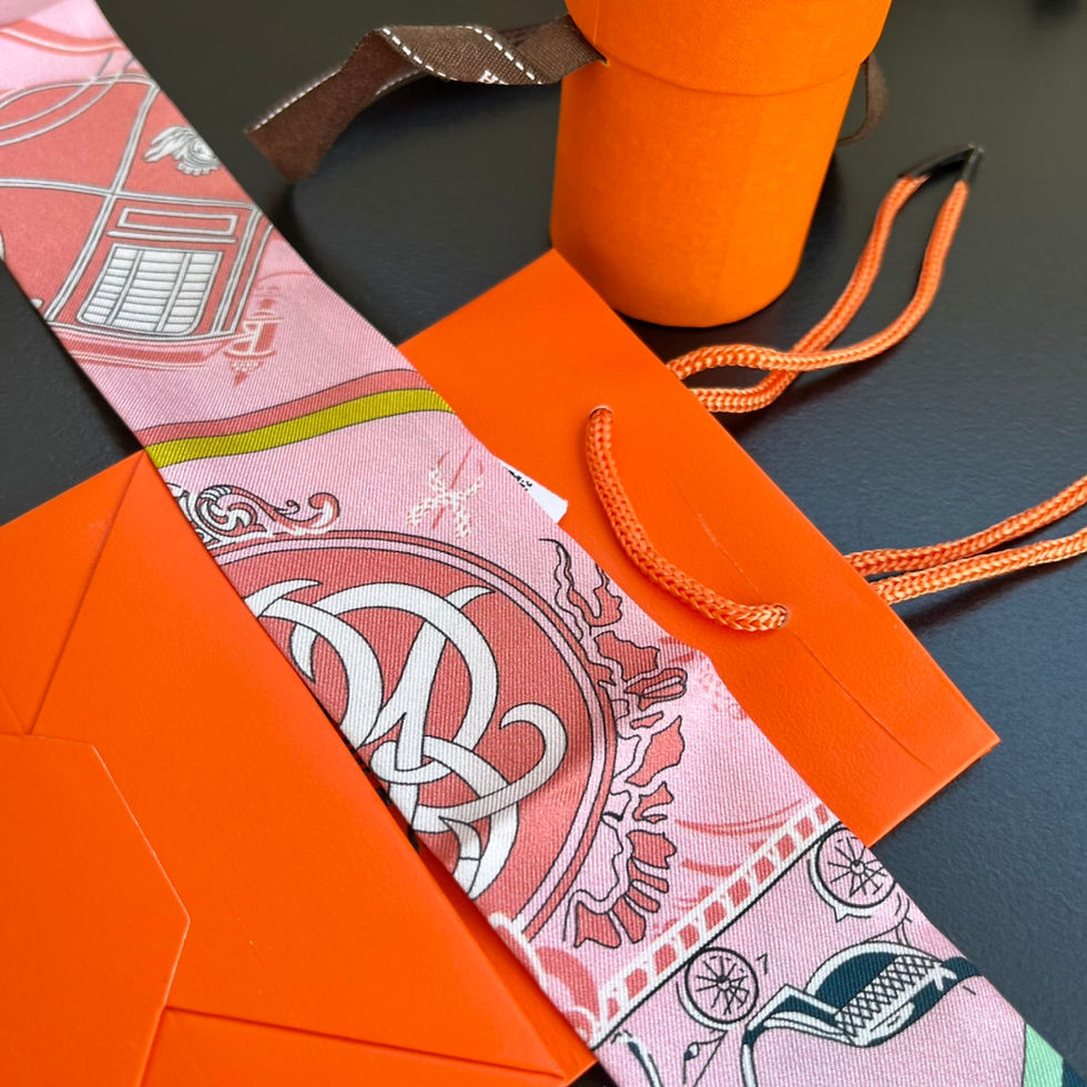 Thumbnail: HERMES TWILLY