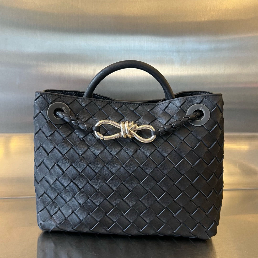 BOTTEGA VENETA ANDIAMO SMALL BAG 
