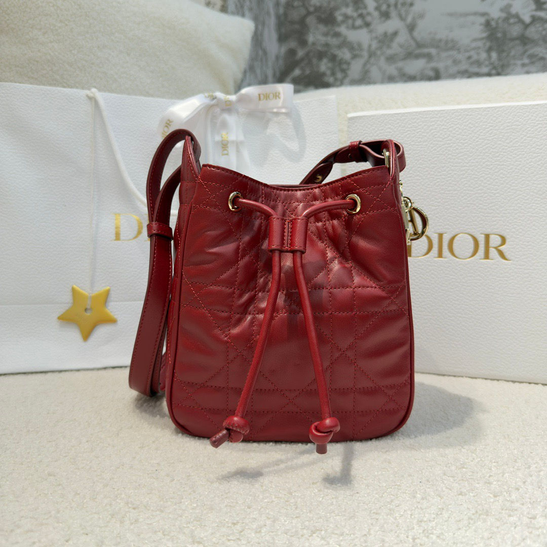 DIOR D-MOTION ULTIMATE BAG 