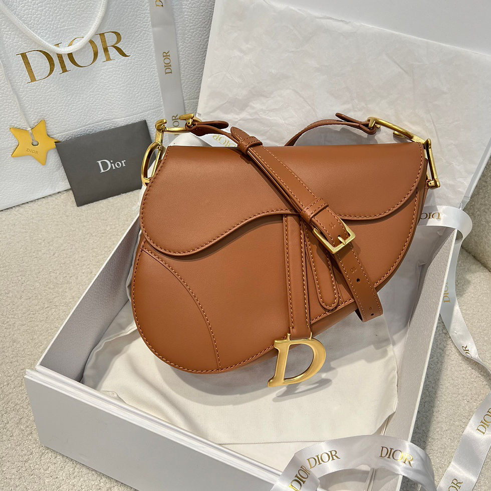 DIOR SADDLE ULTIMATE BAG