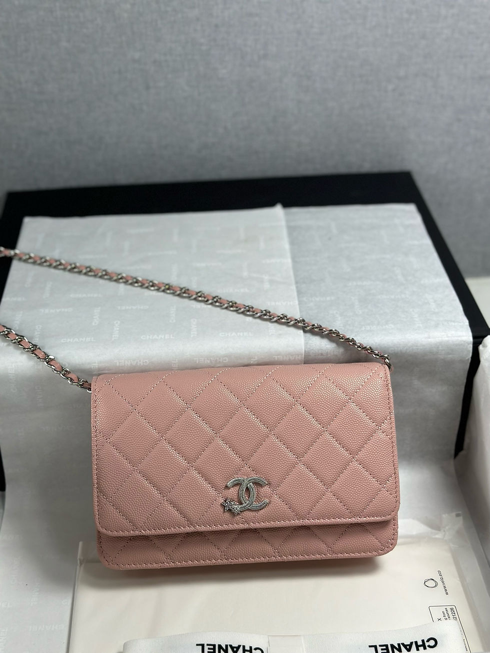 CHANEL 25B WALLET ON CHAIN ULTIMATE BAG