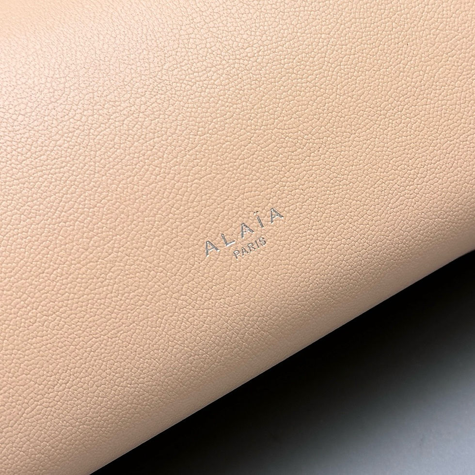 Thumbnail: ALAIA LE TECKEL BAG 