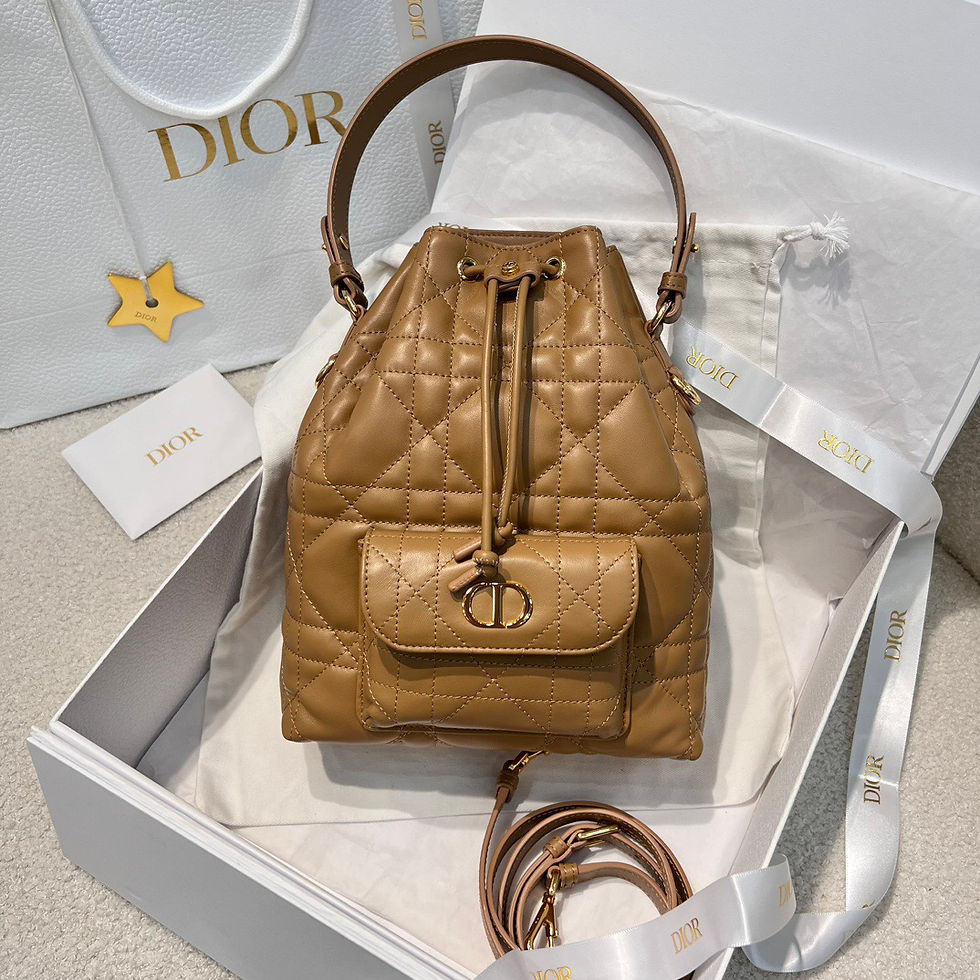 DIOR CARO SMALL BUCKET ULTIMATE BAG