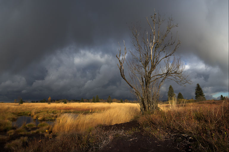 Brackvenn 11 copie.jpg