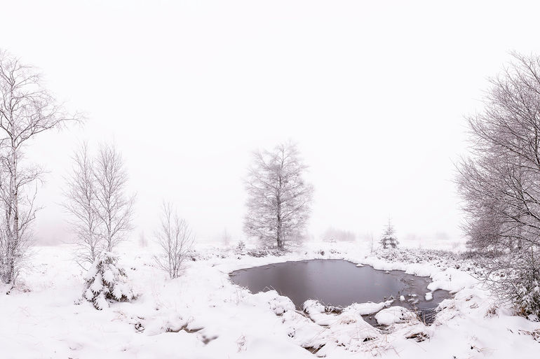 Herbôfaye _9395-Pano 401.jpg