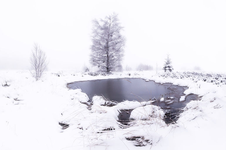 Herbôfaye _9403-Pano 104.jpg