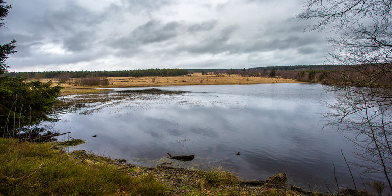 Le Schwarzbach 2.jpg