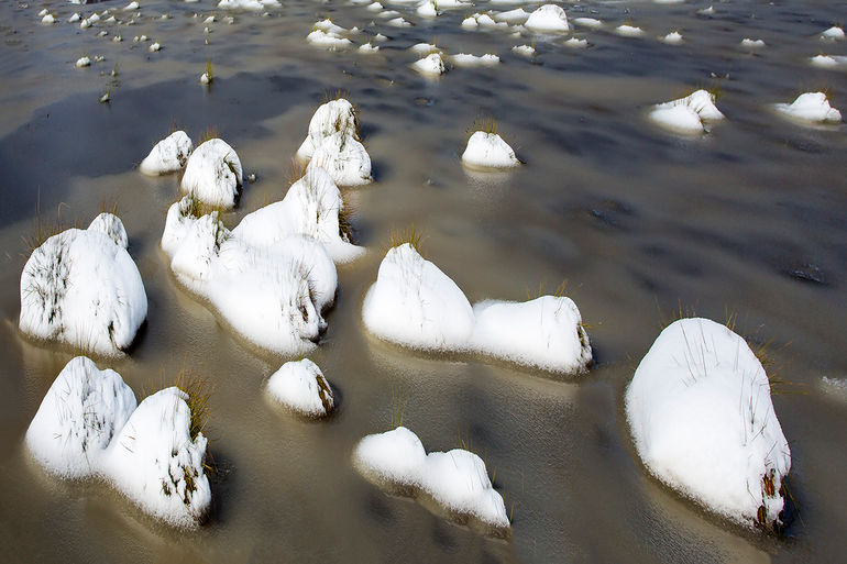 20160426_Fagnes_1756a copie.jpg