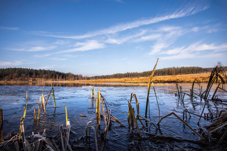 Le Schwarzbach_7102.jpg