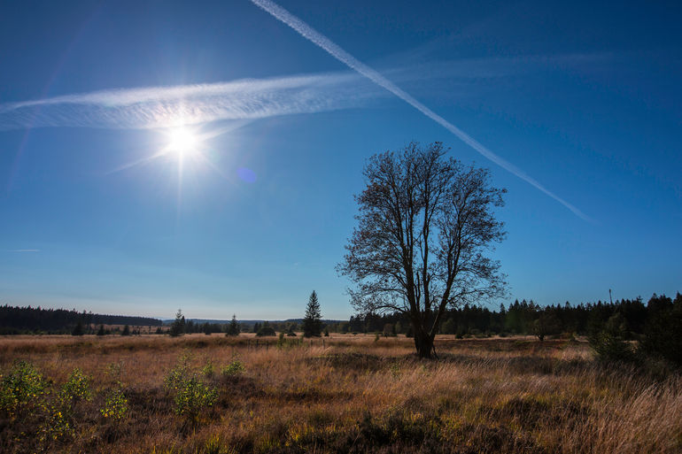 20181004_Fagne_1473 copie.jpg