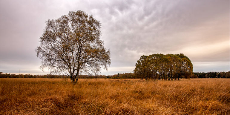 Kutenhart_3267 copie.jpg